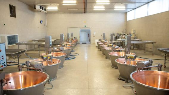 Formigine: Parmigiano Tour with Full Food Tasting