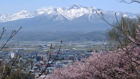 日本札幌-旭川-大雪山國立公園-可定制【中文包車-舒適純淨】