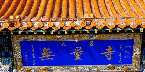 大召寺 【人工講解+無線耳麥】(不含門票)