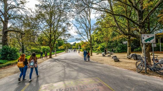 Amsterdam: Lawatan berjalan kaki 2 jam sejarah bandar di Taman Vondel