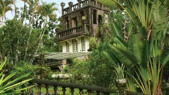 lawatan sehari Dataran Tinggi Atherton Cairns + Istana di Langit Taman Paronella | Lembah Kanggaru pilihan