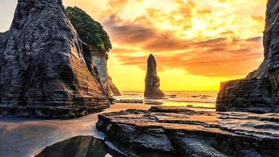 Pelayaran darat | Lawatan sewa peribadi Bahasa Cina di Auckland, New Zealand - perjalanan boleh disesuaikan