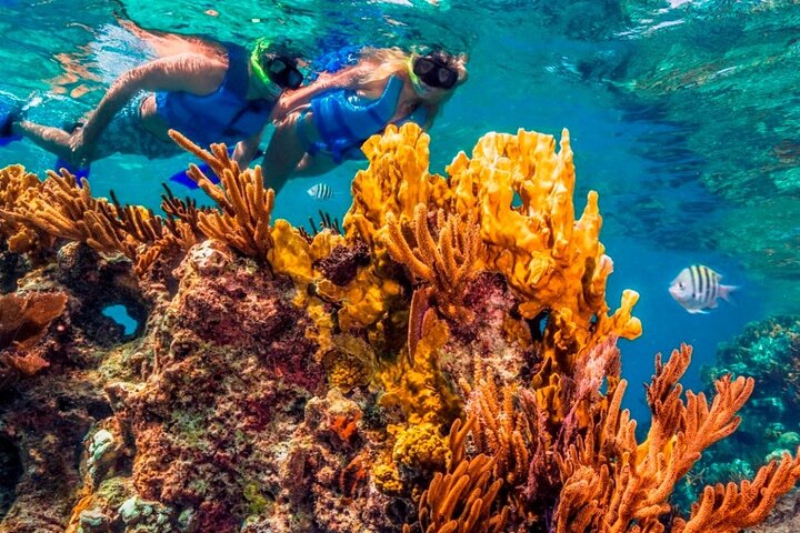 Magical snorkeling adventure through 3 reefs in Cozumel. Transportation  Included