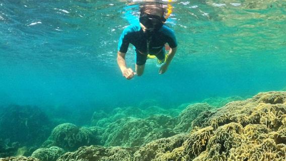 フーコック島VIP高品質10人シュノーケリング小グループ【2回シュノーケリング+サンゴ群+送迎】