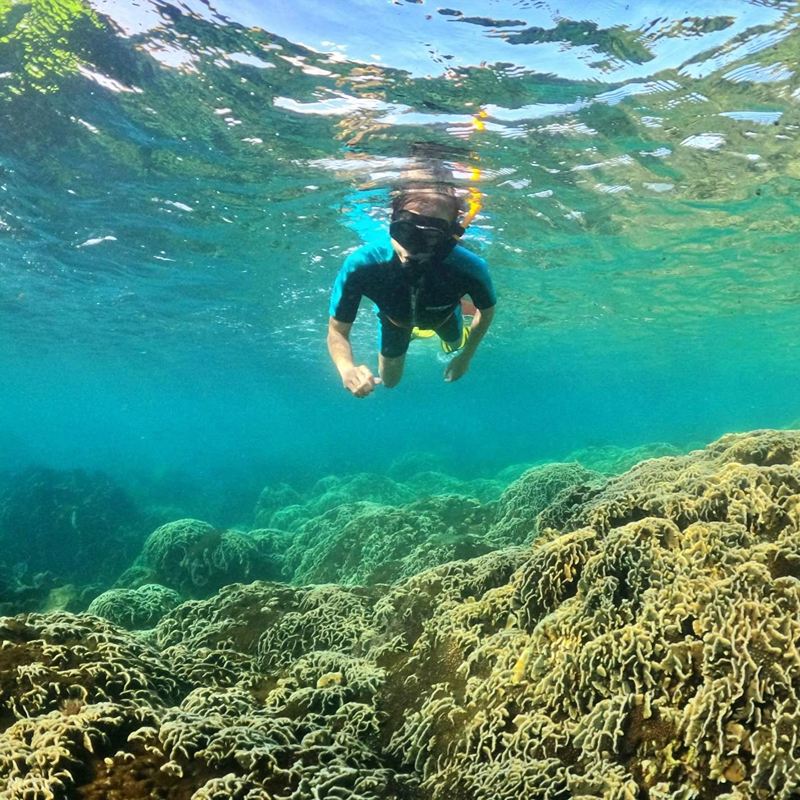 Phu Quoc Island VIP High-Quality 10-Person Snorkeling Small Group [2 Snorkeling Sessions + Coral Reefs + Transfers]