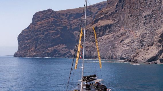 Tenerife: tour di 4 ore e mezza per l'osservazione di balene e delfini a Masca e Los Gigantes