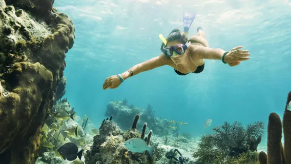 Cancún: Passeio de Lancha na Selva e Mergulho com Snorkel no MUSA Museu Subaquático