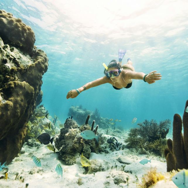 Cancún: MUSA Underwater Museum, Jungle Speedboat & Snorkel Tour
