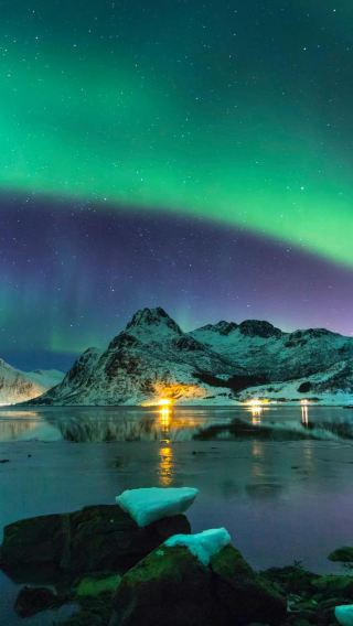 Tromso Fjords + Arctic Cathedral + Polaria + Tromso Botaniske Hage private chartered tour