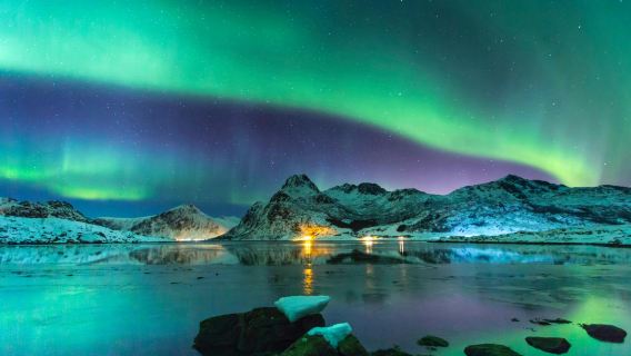 Norway + Tromsø Fjord + Arctic Church + Polaria + Tromsø Botanical Garden