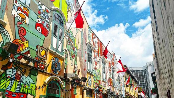 新加坡一日遊中文導遊魚尾獅哈芝巷金沙濱海灣公園聖淘沙島團體遊覽