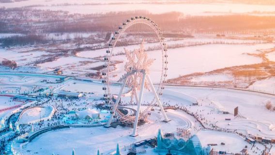 可選6人團|哈爾濱冰雪大世界+東北虎林園+極地館一日遊純玩團