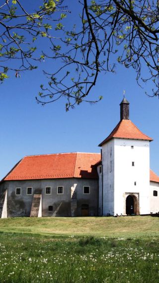 One-Day Private Charter to Durdevac in Serbia and Croatia