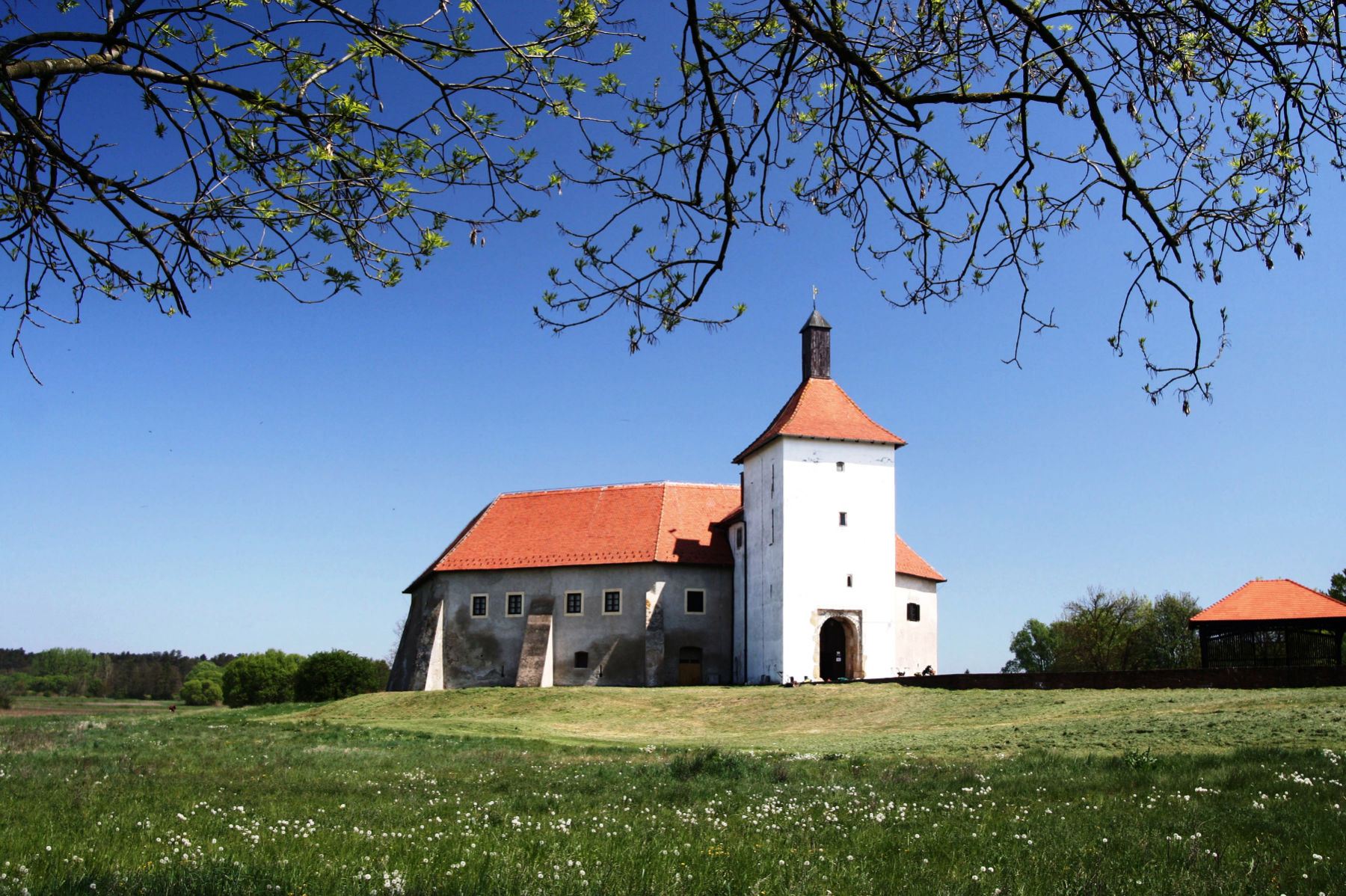 セルビア+クロアチア ドゥルデヴァツ日帰りツアー