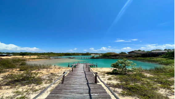 Tanjung Pinang Kota데이 투어