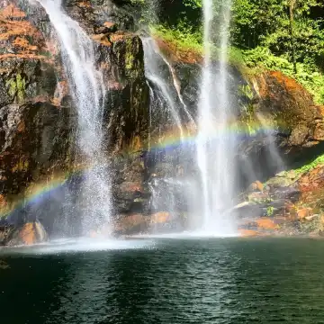 Exclusive Tropical Adventure: Cave Swing & Scenic Escape – Private
