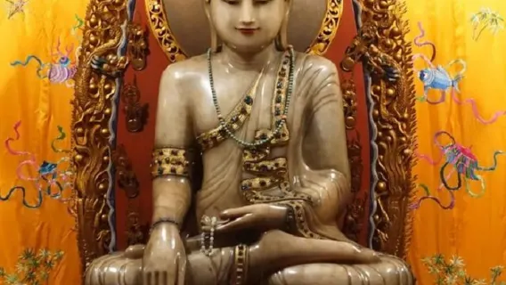 Tour classico di 1 giorno: Oriental Pearl Tower + Tempio del Buddha di Giada + Giardino Yuyuan e Tempio del Dio della Città + Bund + Crociera notturna sul Fiume Huangpu