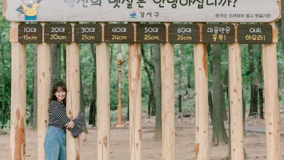리옹이색 체험