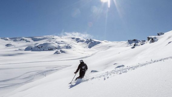 Cardrona