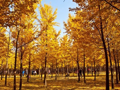 穿越秦漢·帝王陵墓探秘線/包車一日遊