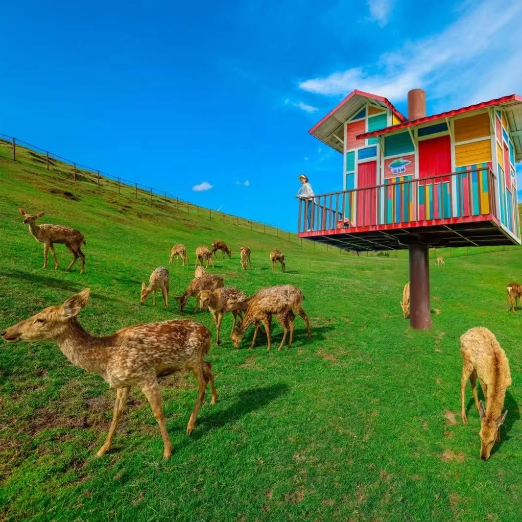 Chenzhou Yangtianhu Grassland Private Charter 1-Day Tour | Optional Chinese or English Guide | Summer Vacation Family Outing with Kids and Parents