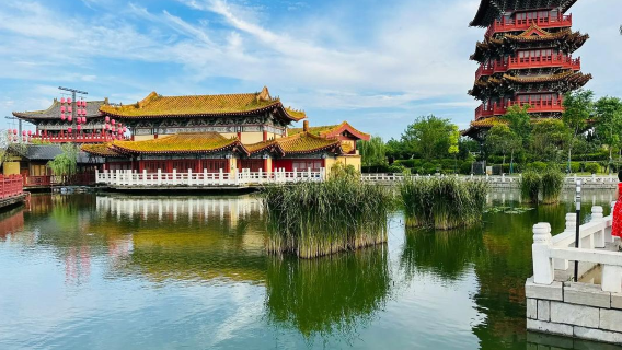 清明上河園2.5H導覽講解橄欖遊● 資深大咖導遊精講包團