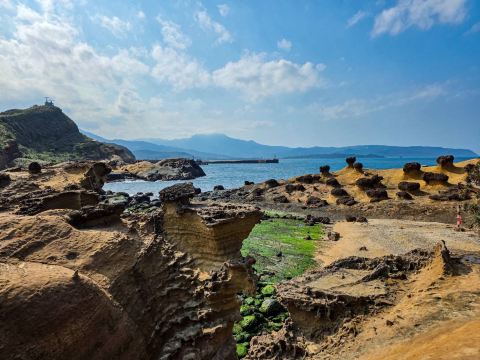 野柳+九份+十分瀑布+十分老街 相乗りワンデーツアー-台北出発 | Trip.com