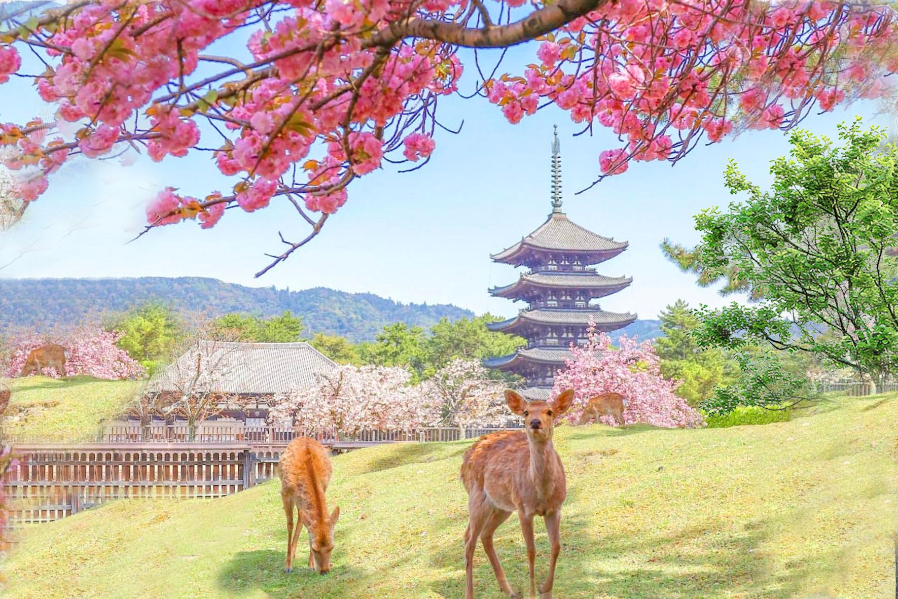 Kyoto Nara 1-Day Tour|Nara Park + Arashiyama + Fushimi Inari + Departing from Osaka