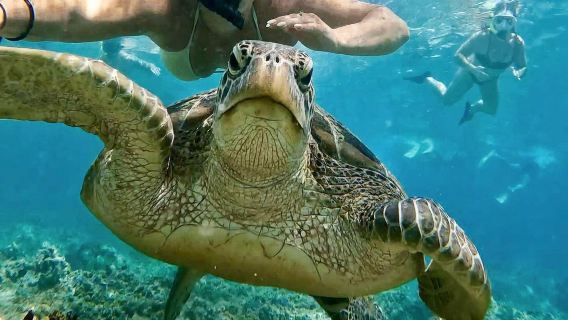 マブール島半日ツアー【午前/午後の部選択可|人気の水上コテージ訪問|中国語/英語ガイド選択可】