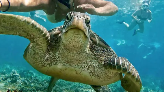 마불 아일랜드 반나절 투어 [오전/오후 회차 선택 가능|인기 워터 빌라 방문|중국어/영어 선택 가능]