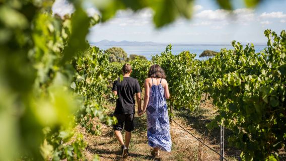Around the Bay: Day Trip from Melbourne with Food & Wine Tastings