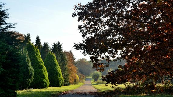 Arboretum de Chèvreloup: Entry Ticket