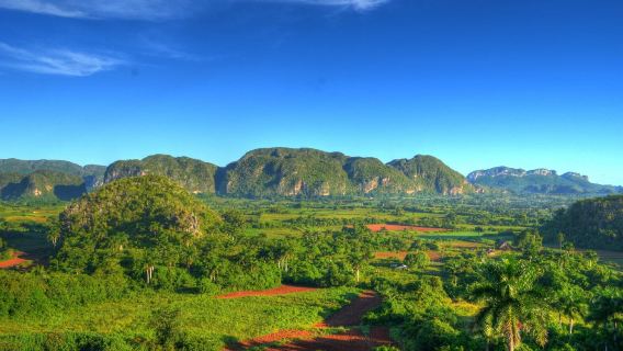 Havana Valle de Vinales tobacco farm Indian cave prehistoric mural day tour
