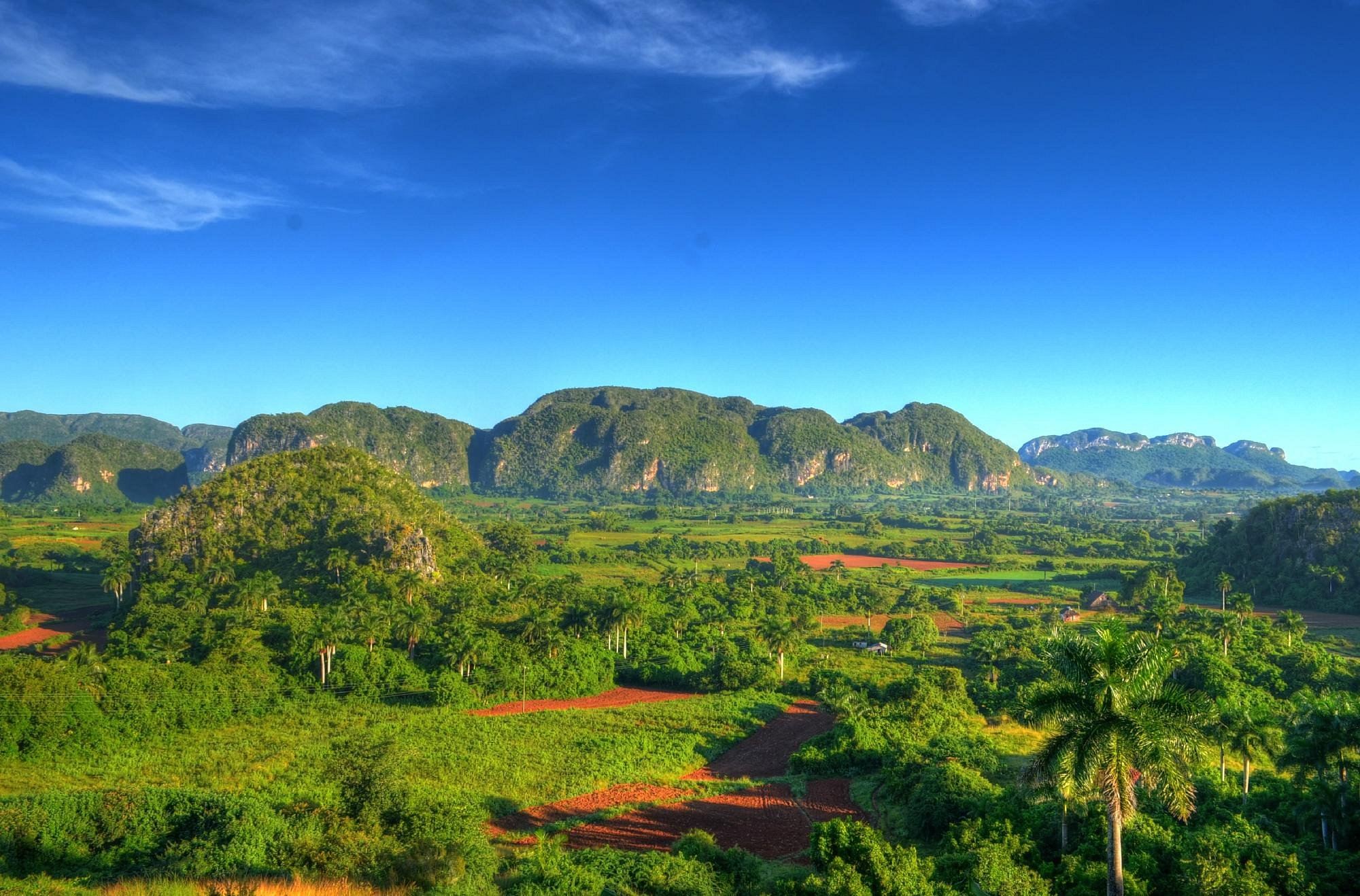 Havana Valle de Vinales tobacco farm Indian cave prehistoric mural day tour