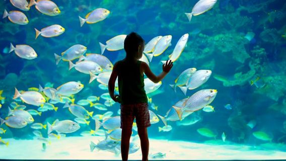 Entrada al Museo Oceanográfico de Mónaco