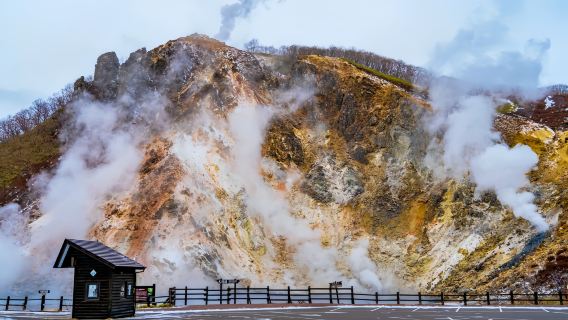 [Excursion d'une journée populaire à Hokkaido] Chutes de Shirahige·Paysage de sapin de Noël·Zoo d'Asahiyama