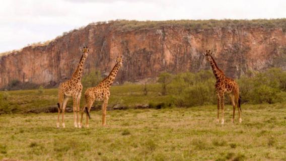 Day tour to Lake Naivasha and Hells Gate Park from Nairobi