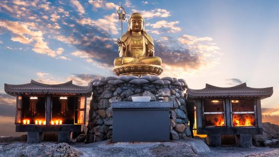 Haedong Yonggungsa Temple, Camellias Island & More