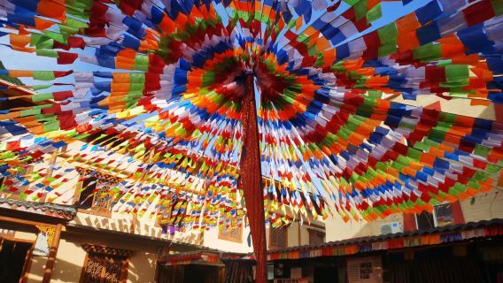 Jiuzhaigou, lugar pintoresco - Comida tibetana especial (experiencia: danza Guozhuang y espectáculo de canto y baile tibetano)