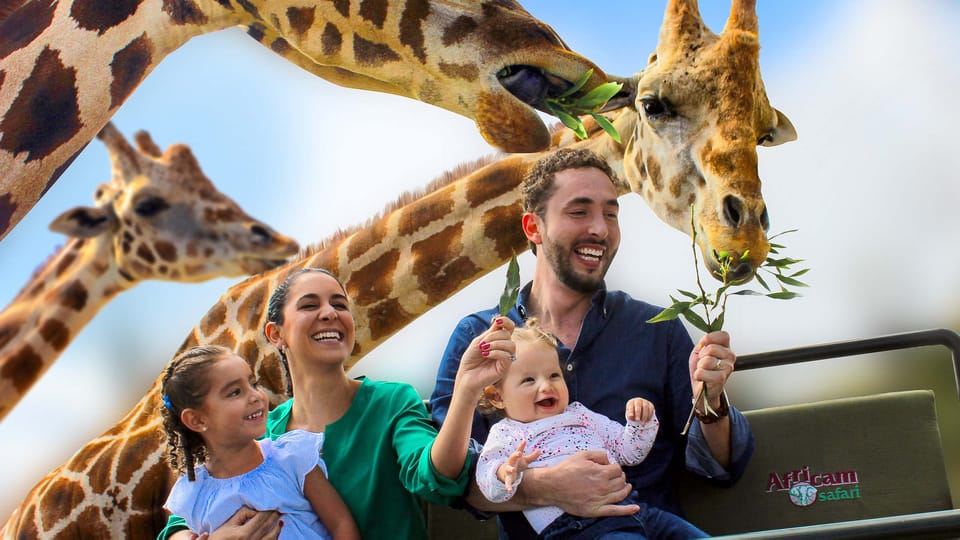 Puebla Africam Safari Park, ¡Vive una Aventura Inolvidable!