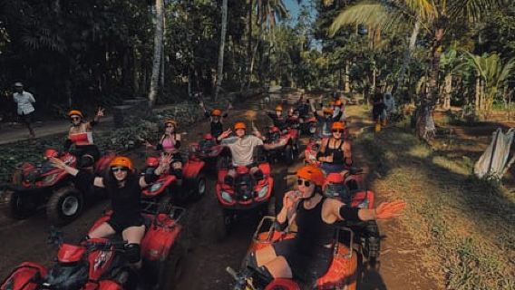 Ubud: Quad Bike Wajah Gorila, Ayunan Hutan, Air Terjun & Makanan