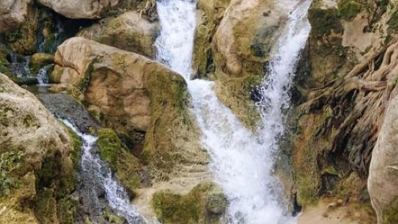 Salalah: Visita guiada de medio día a Wadi Darbat y el monte Samhan
