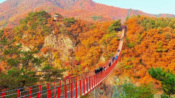 Seoul: Tham quan DMZ với Đường hầm thứ 3 và Cầu treo