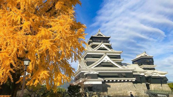 Secrets de Kyushu : Excursion d'une journée au château de Kumamoto, au mont Aso et à Kusasenri|Train Aso en option