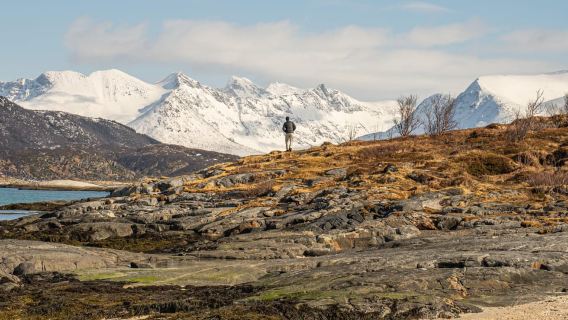 從特羅姆瑟出發：北極公路之旅：峽灣之旅和風景優美的野餐