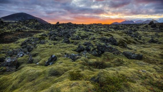 Lawatan Semenanjung Snæfellsnes + Gunung Kirkjufell di Iceland dengan Kenderaan Berbahasa Cina & Perkhidmatan Jemputan di Reykjavik
