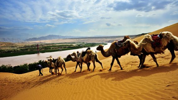 寧夏中衛騰格里一日遊【騰格里天然沙漠浴場+沙漠迪士尼沙坡頭】