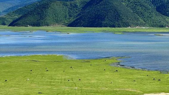 香格里拉+無底湖純玩一日遊【徒步彩色湖泊+苔蘚森林】