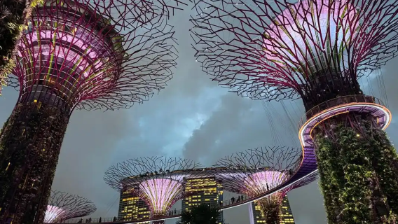 Jardins de la Baie, Singapour : Excursion d'une journée incluant les deux dômes (Flower Dome/Cloud Forest)