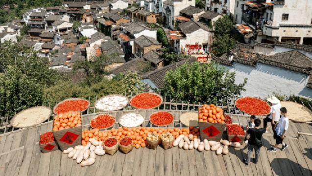 中國康輝|婺源篁嶺精品半日遊【可選6人小團 上午/下午班】